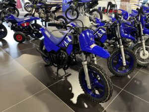 Yamaha PW50